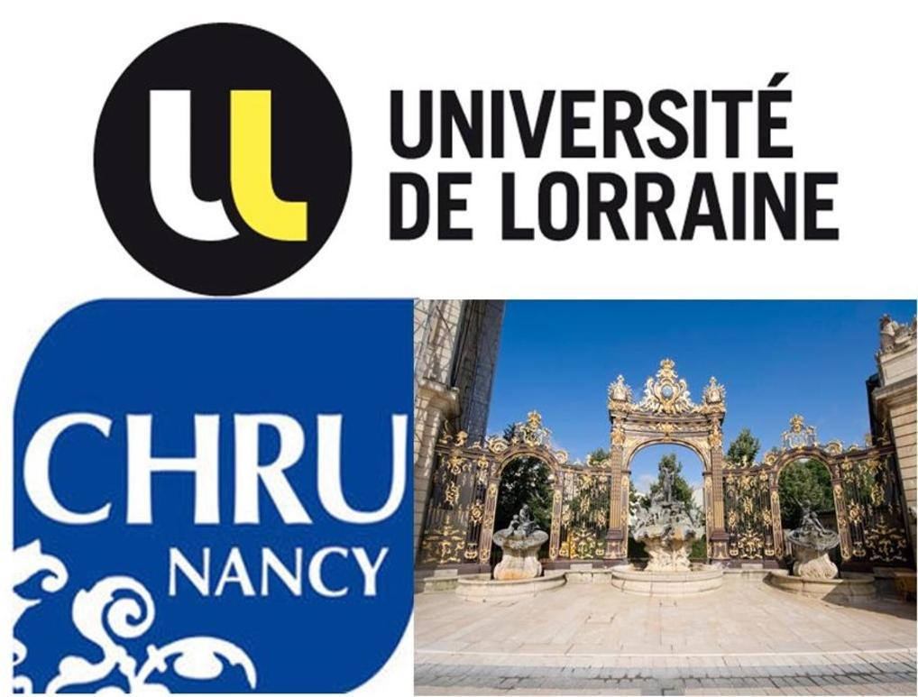 Nancyroom Vandoeuvre-lès-Nancy Exteriér fotografie